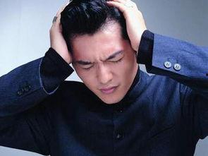 印尼巴士模拟器国产车辆模组 